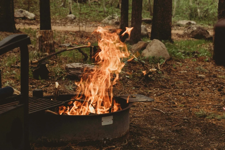 a grill filled with flames in the forest