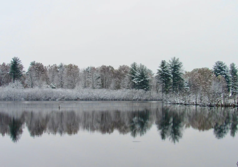 a po of a lake that is surrounded by trees