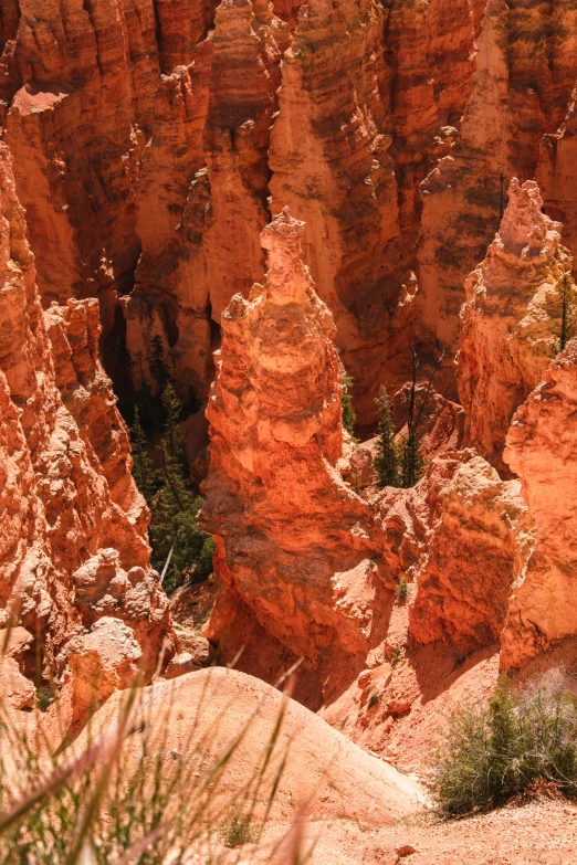 an image of a rocky area that has plants growing on it