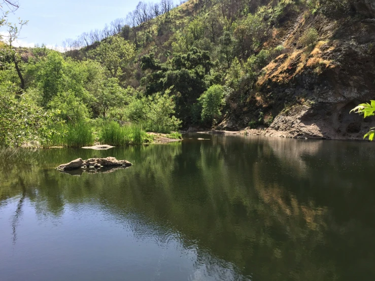 an empty river with trees on either side and water on the ground