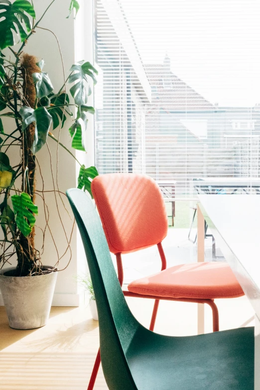 a couple of different chairs next to a potted plant