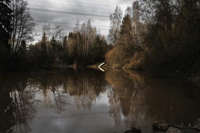 an image of a river that is dark brown