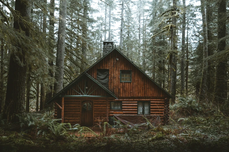 a cabin is surrounded by many tall trees