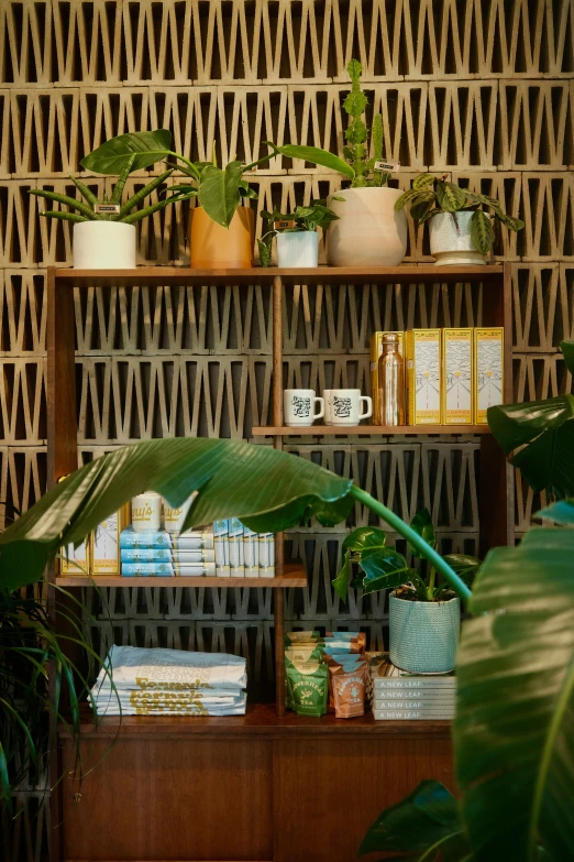 a room filled with lots of plants and potted trees