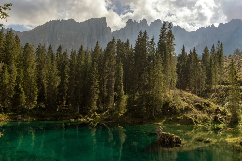 there is a lake that is surrounded by pine trees