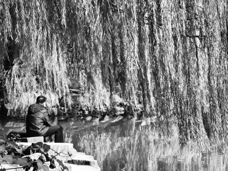 a man sitting by water by a tree