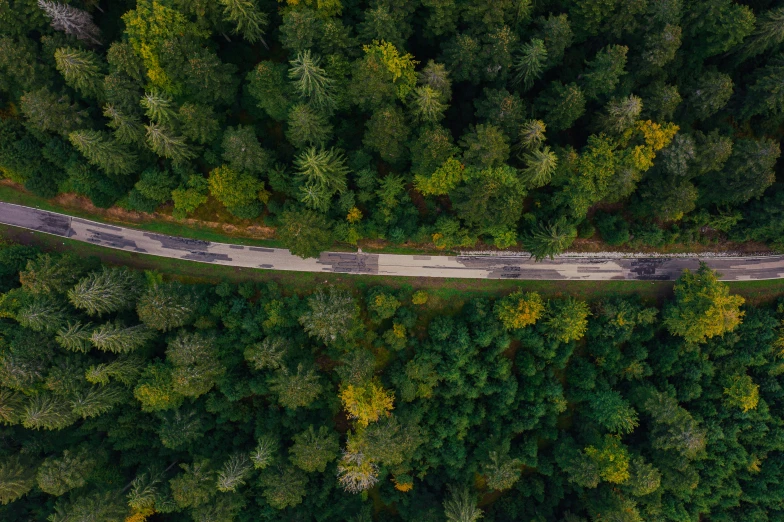 a road surrounded by trees is seen from above