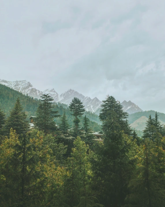 view of green tree covered mountains with mountains in the distance