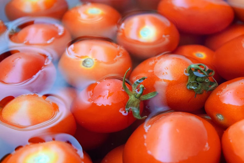 orange tomatoes with their tops still attached to each other