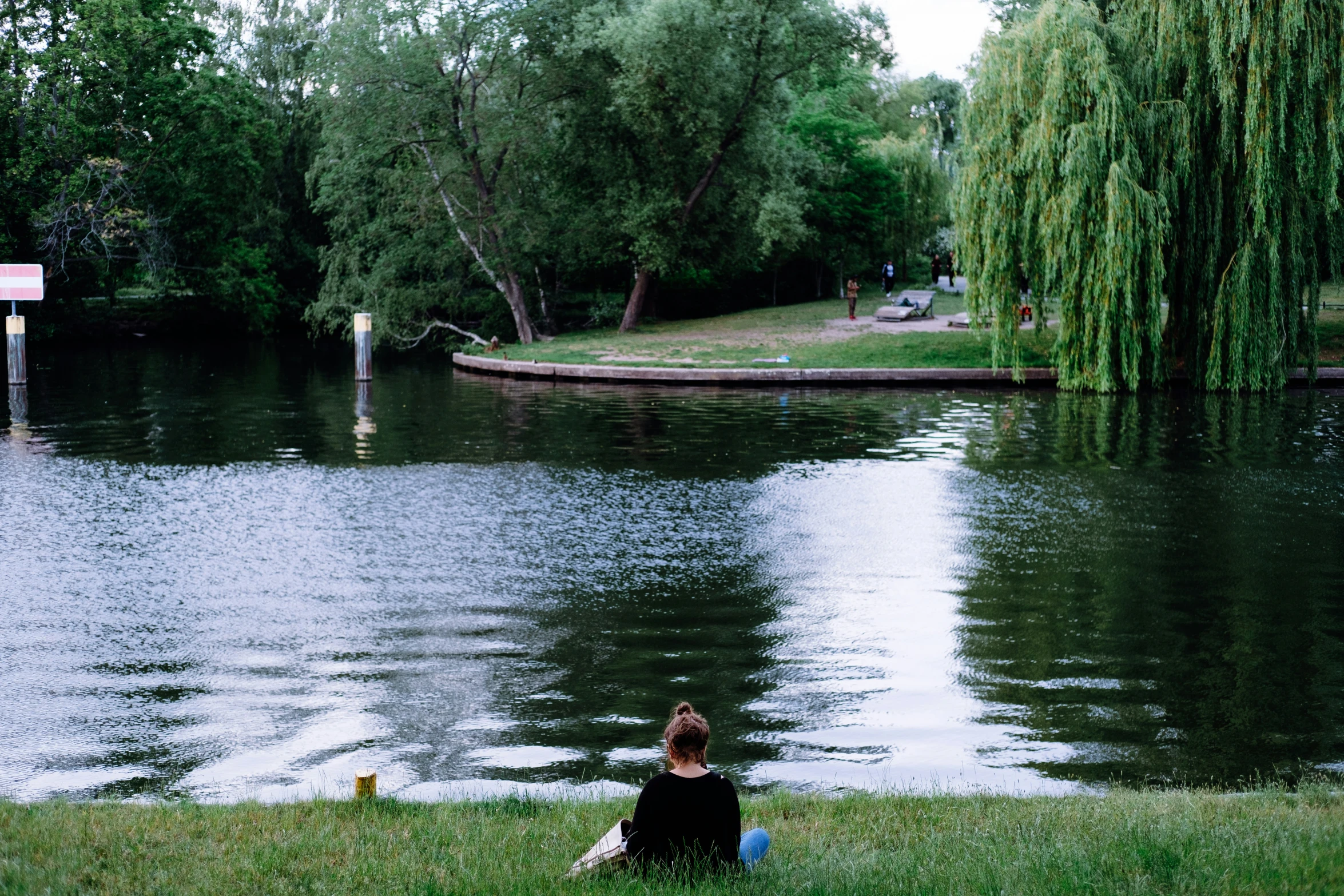 a person sitting in the grass on the shore of a lake