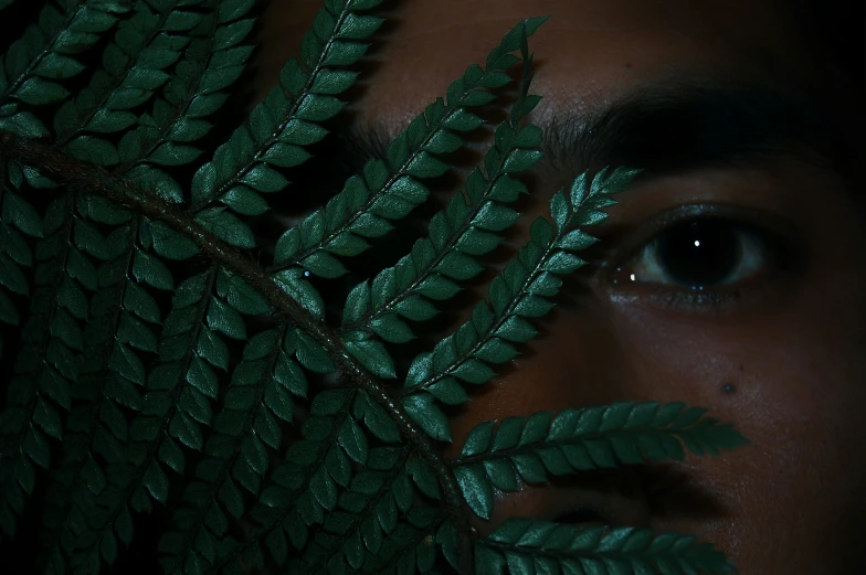 a close up of an eyes looking at green plant