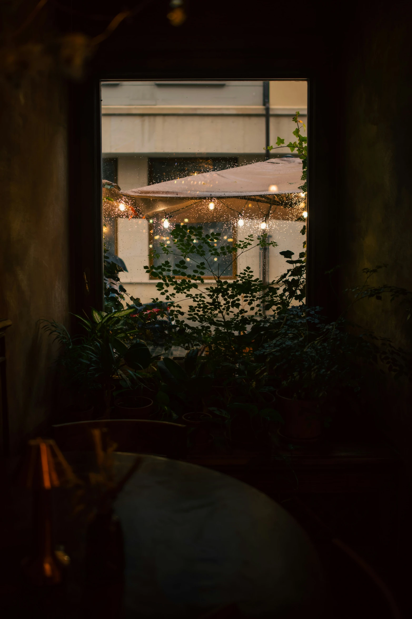 an open window looks out onto a street