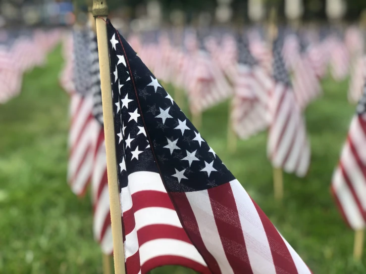 a bunch of flags that are on the grass