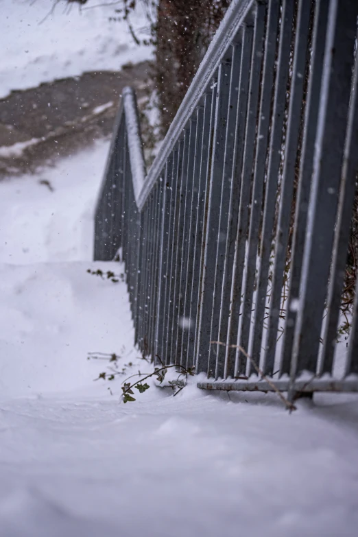 a close up s of snow on a fence