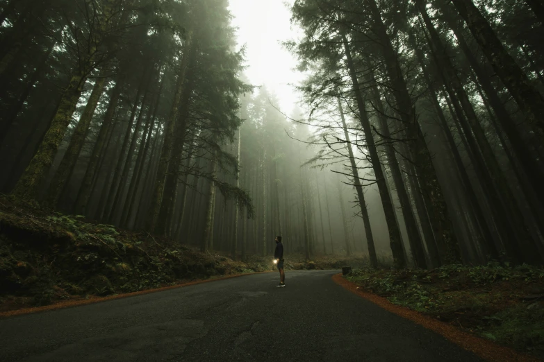 a man is walking on a road in the middle of the forest