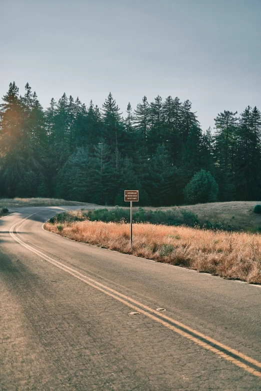 the sign is on the corner of an empty country road