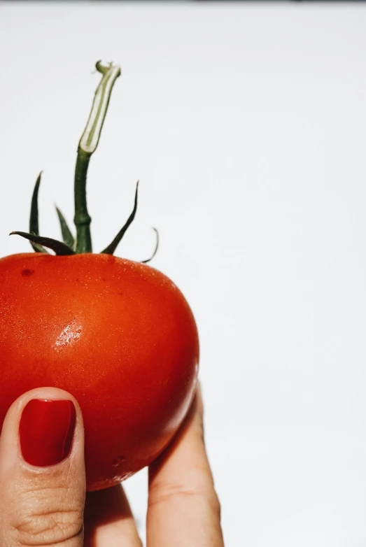 a hand holding a red tomato with the tip pointing upward