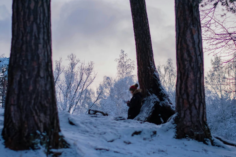 someone sits on the snow between two tall trees