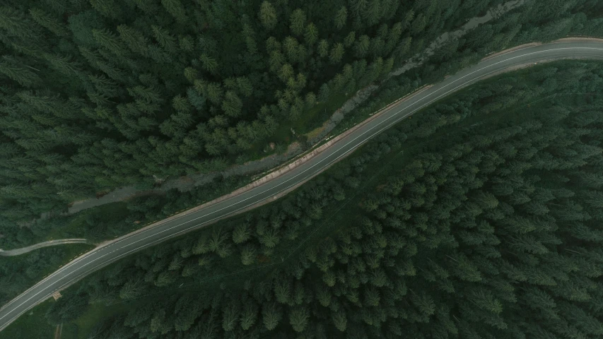 an aerial po of a road going through the forest