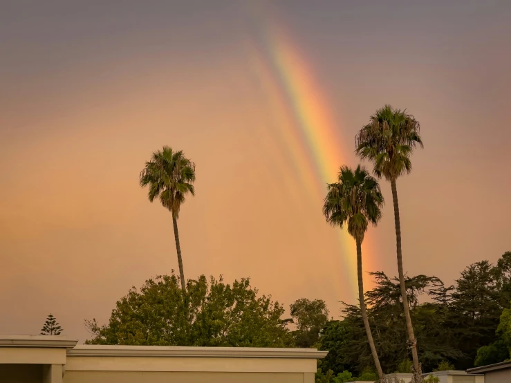 two palm trees on the foreground under a rainbow colored sky