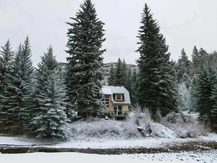 the house in the snowy forest is located