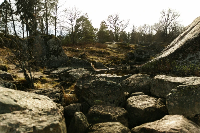 large rocks with trees in the background