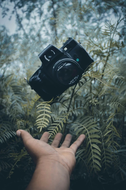 a black camera on the palm of a person holding