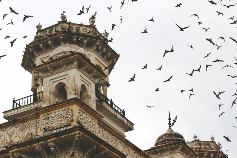 flock of birds flying in the sky near a large tower