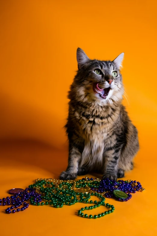 a cat with its mouth open standing beside the beads