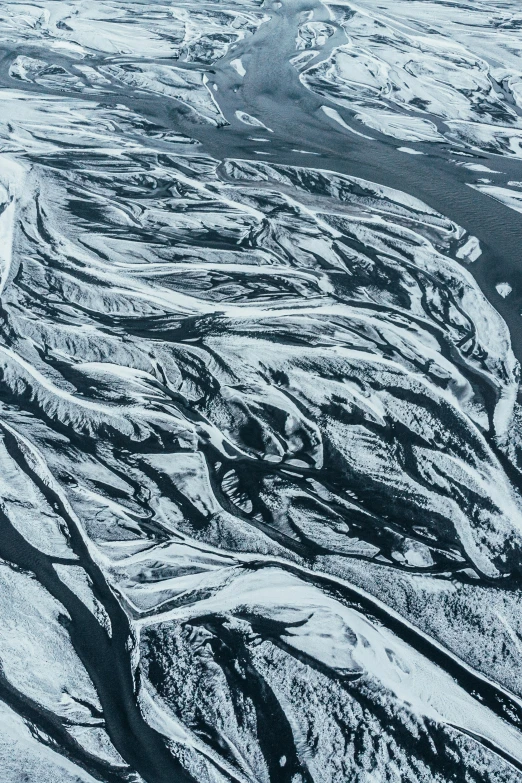 a snowy landscape has many different tracks to follow