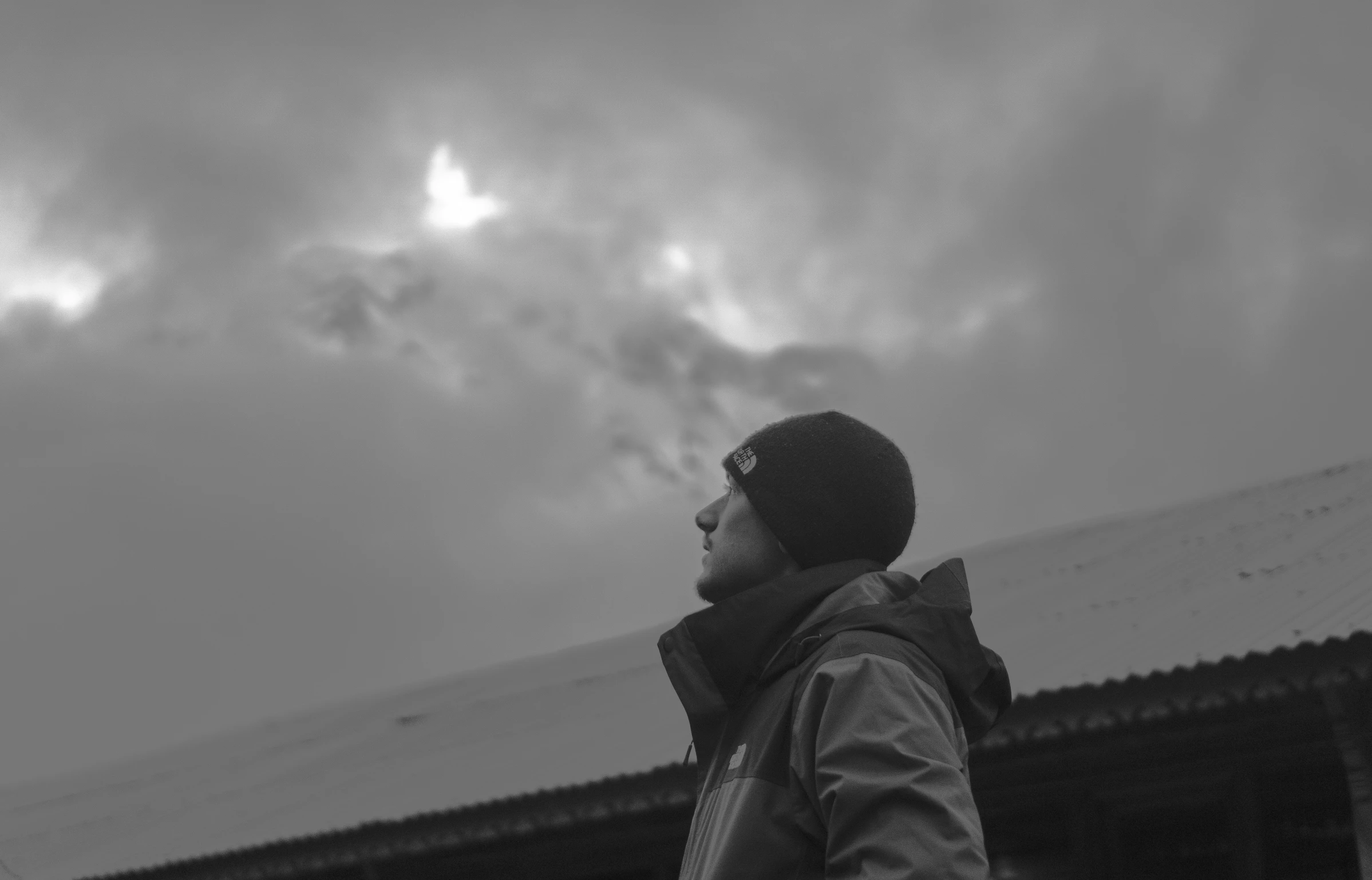 man standing in a field staring into the sky