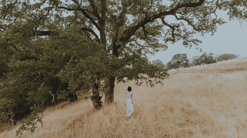 woman in a white dress walking through field next to trees