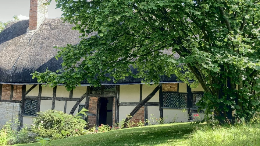 thatched roof house with grass growing on side