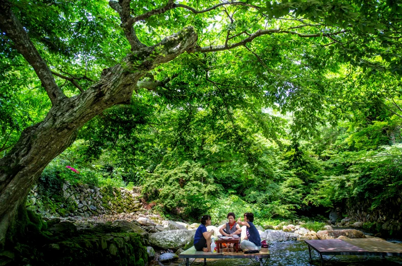 people are sitting on a bench surrounded by trees