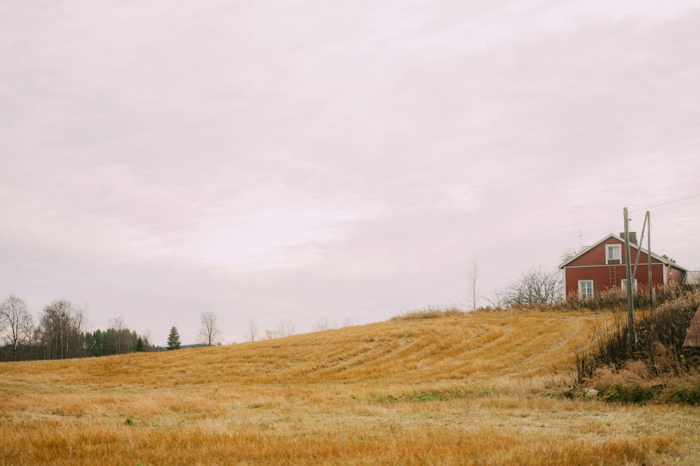 a house and a field on the edge of a hillside