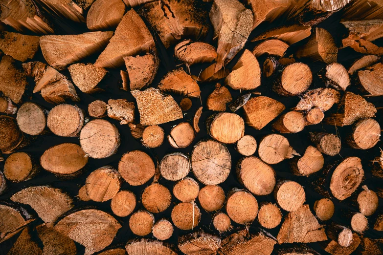 the pile of logs is stacked high to show the texture