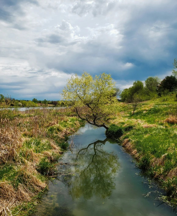 a river and grassy field in front of an approaching storm