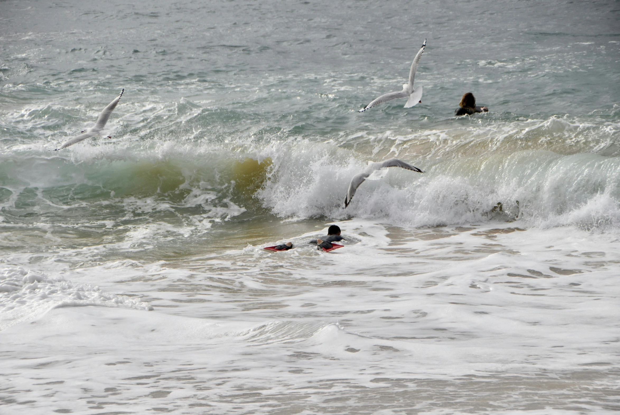 people in the ocean one falling off his surfboard