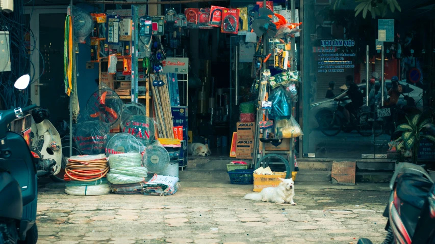 an outdoor market selling a lot of things