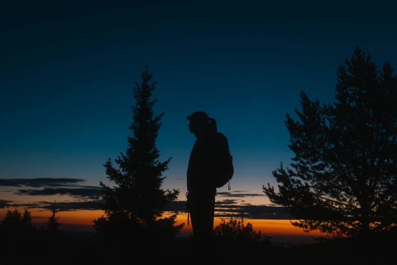 silhouette of trees and person on a cellphone at night