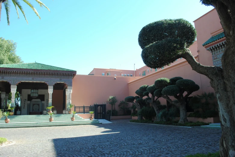 a courtyard with palm trees and many steps