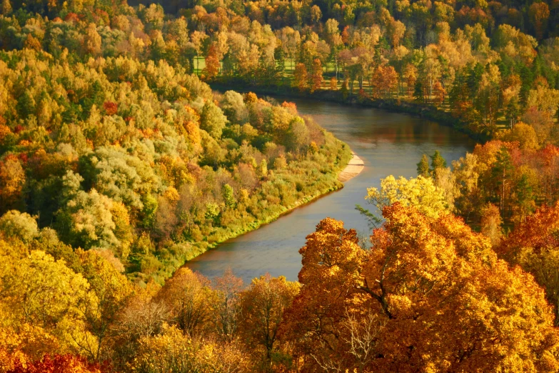 a river flows through a colorfully wooded area