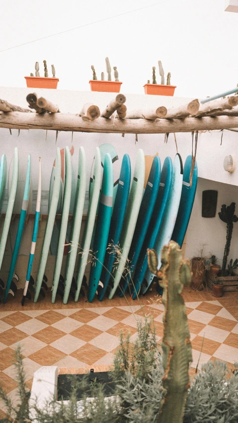 there are several surfboards lined up next to each other