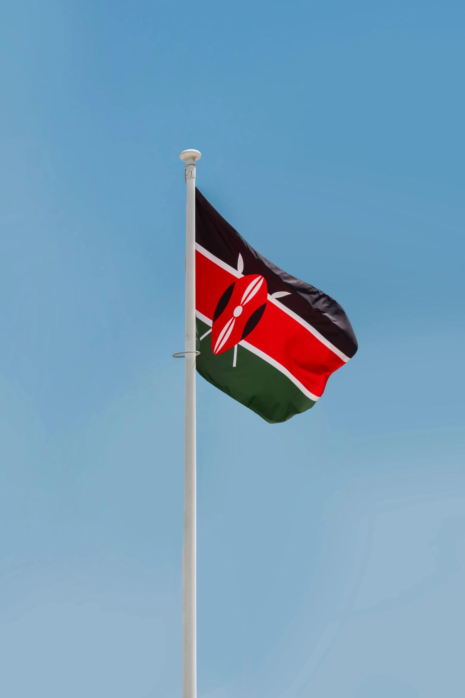 a flag flying on top of the flag pole