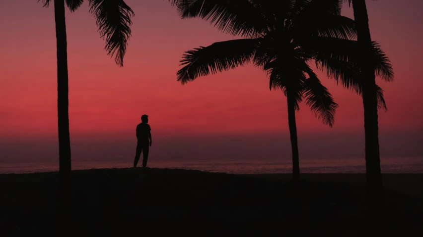 a person standing on the shore at sunset