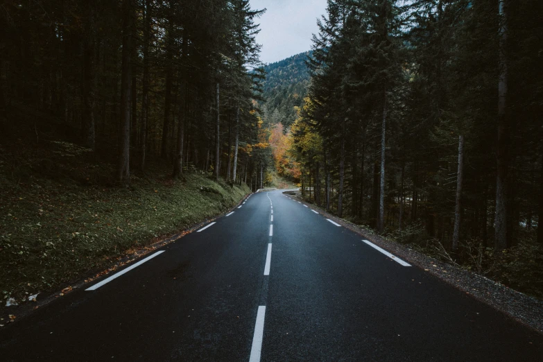 an empty road surrounded by tall trees with a cloudy sky