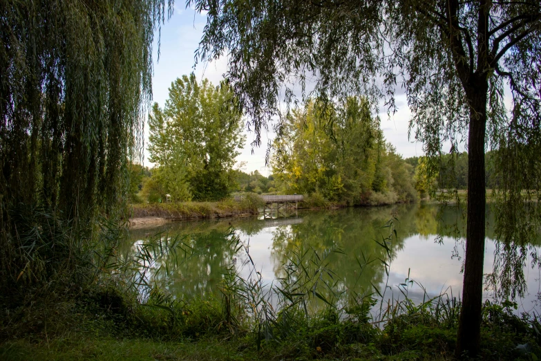 the view from the bank looking out to the river