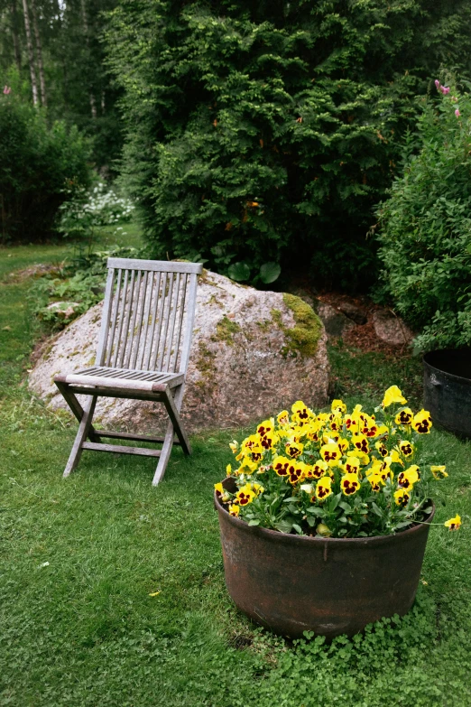 a couple of flowers are in a metal pot