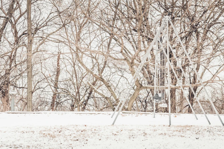 two park benches near some bare trees in the snow