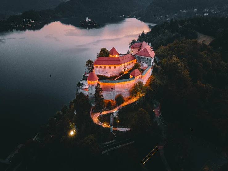 an aerial view of a castle near the water